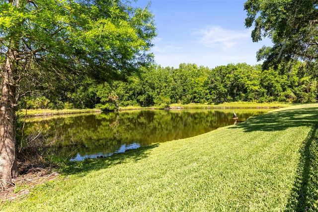 28451 GREAT BEND PLACE, Wesley Chapel, FL 33543