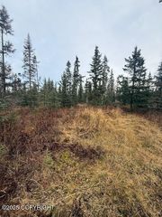 123 Johnny Road, Nikiski/north Kenai, AK 99611