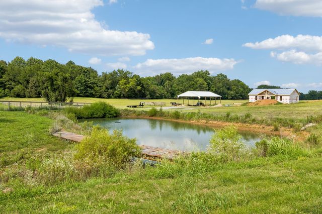 1088 Atkins Road Ext, Cedar Hill, TN 37032