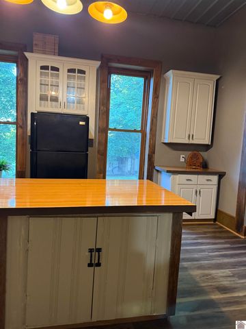 115 Pierce St, Marion, KY 42064