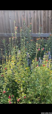 12107 Bowie, San Antonio, TX 78253