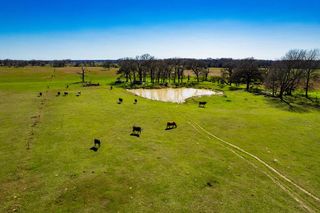 12559 CR 2404, Kemp, TX 75143