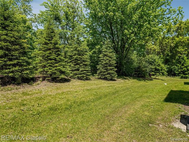 24869 Ivy, Novi, MI 48375