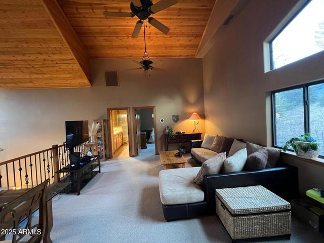 7816 W FOREST SERVICE Road 200, Young, AZ 85554