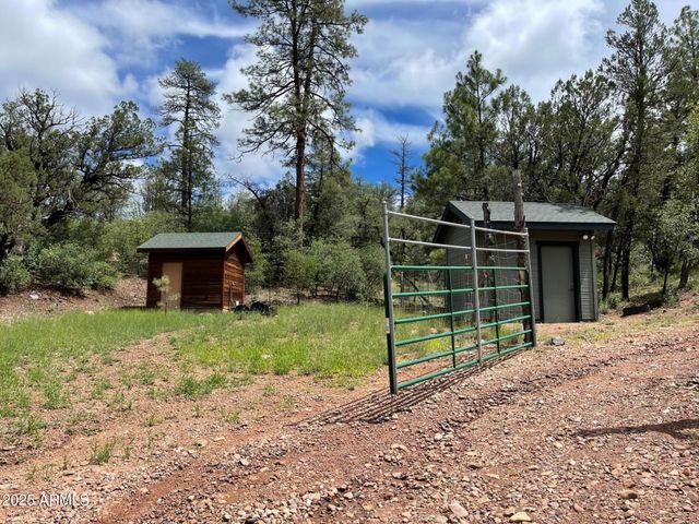 7816 W FOREST SERVICE Road 200, Young, AZ 85554