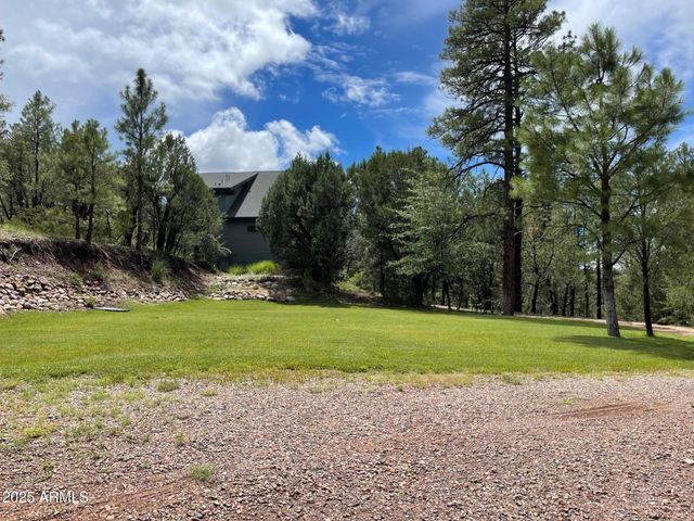 7816 W FOREST SERVICE Road 200, Young, AZ 85554