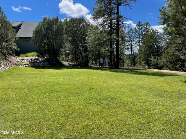 7816 W FOREST SERVICE Road 200, Young, AZ 85554