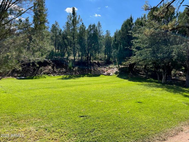 7816 W FOREST SERVICE Road 200, Young, AZ 85554