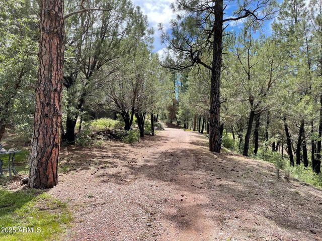 7816 W FOREST SERVICE Road 200, Young, AZ 85554