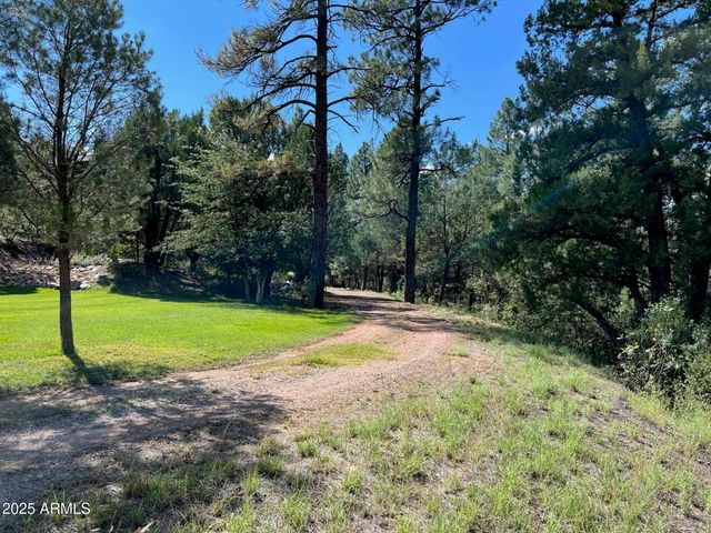 7816 W FOREST SERVICE Road 200, Young, AZ 85554