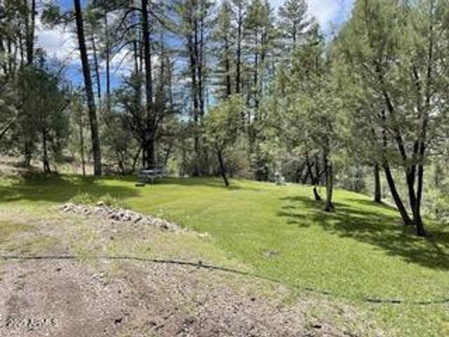 7816 W FOREST SERVICE Road 200, Young, AZ 85554