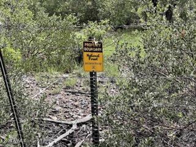 7816 W FOREST SERVICE Road 200, Young, AZ 85554