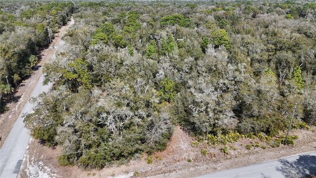 12786 W CORNFLOWER DRIVE, Crystal River, FL 34428