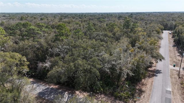 12786 W CORNFLOWER DRIVE, Crystal River, FL 34428