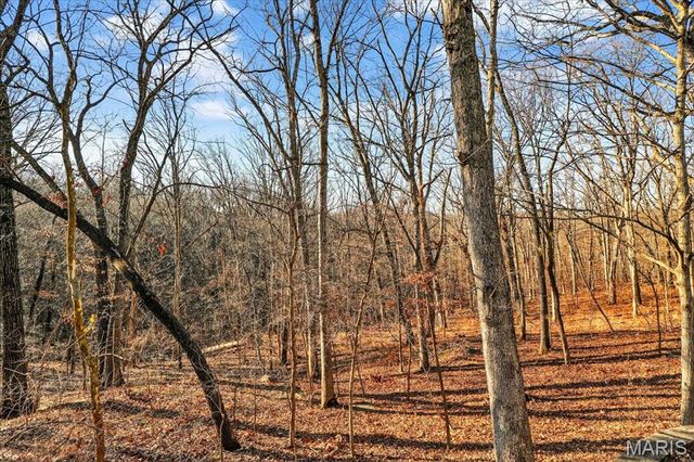 17716 Birch Leaf Court, Wildwood, MO 63005