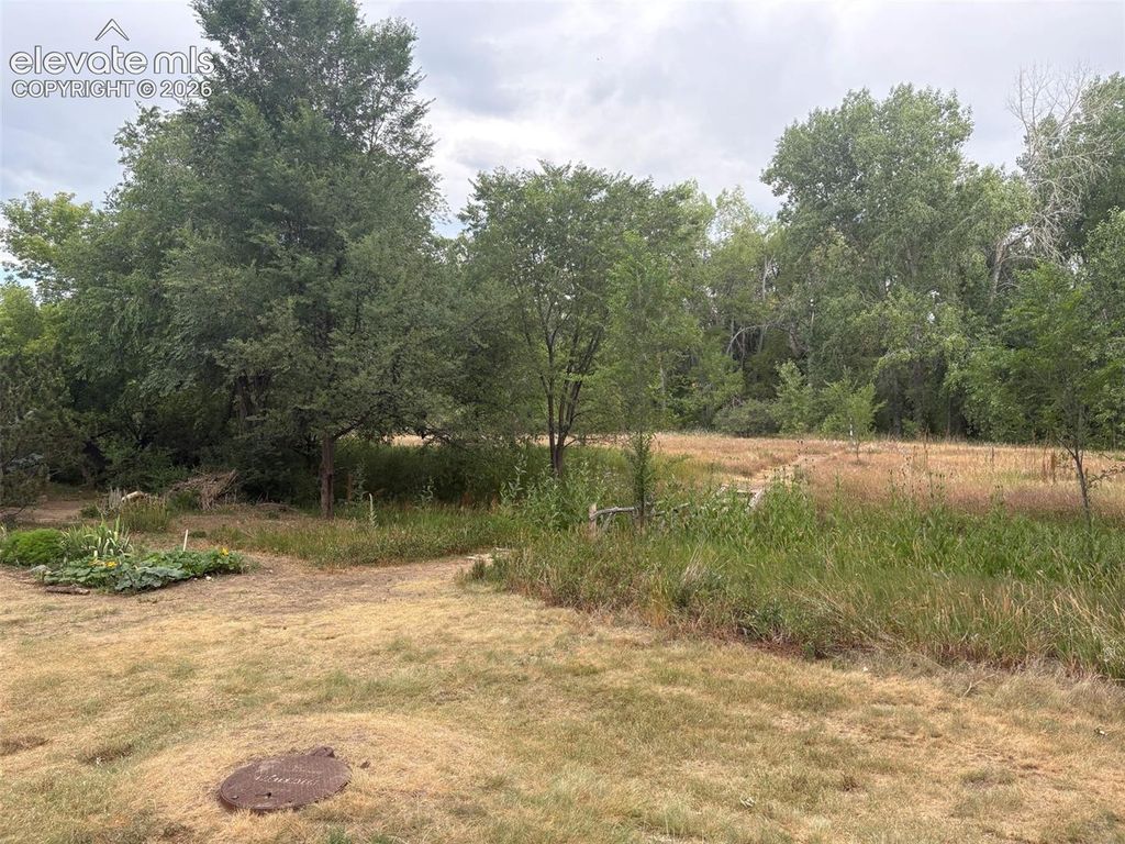 1559 Courtyard Heights, Colorado Springs, CO 80906 — photo 5