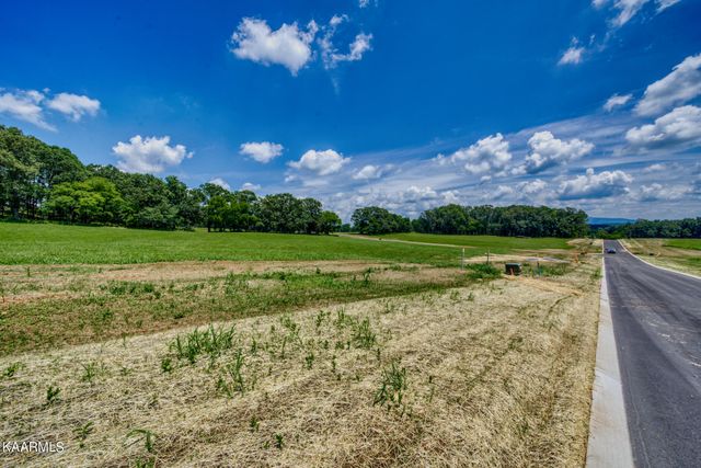 LOT75 803 Sophie Drive, Greenback, TN 37742