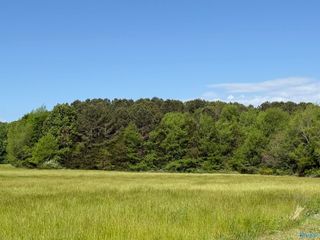 3 Acres Mount Lebanon Road, Toney, AL 35773