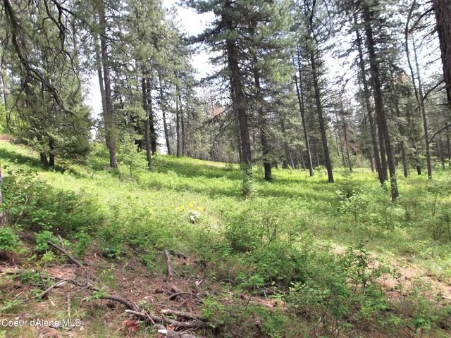 NNA DazyDuck Ct, Rathdrum, ID 83858