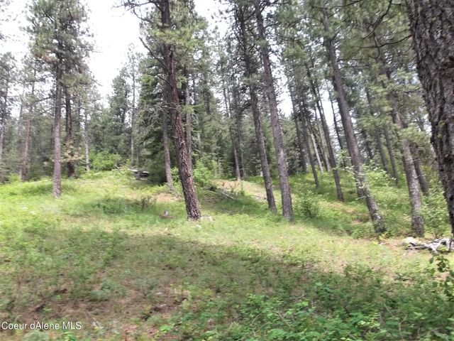 NNA DazyDuck Ct, Rathdrum, ID 83858