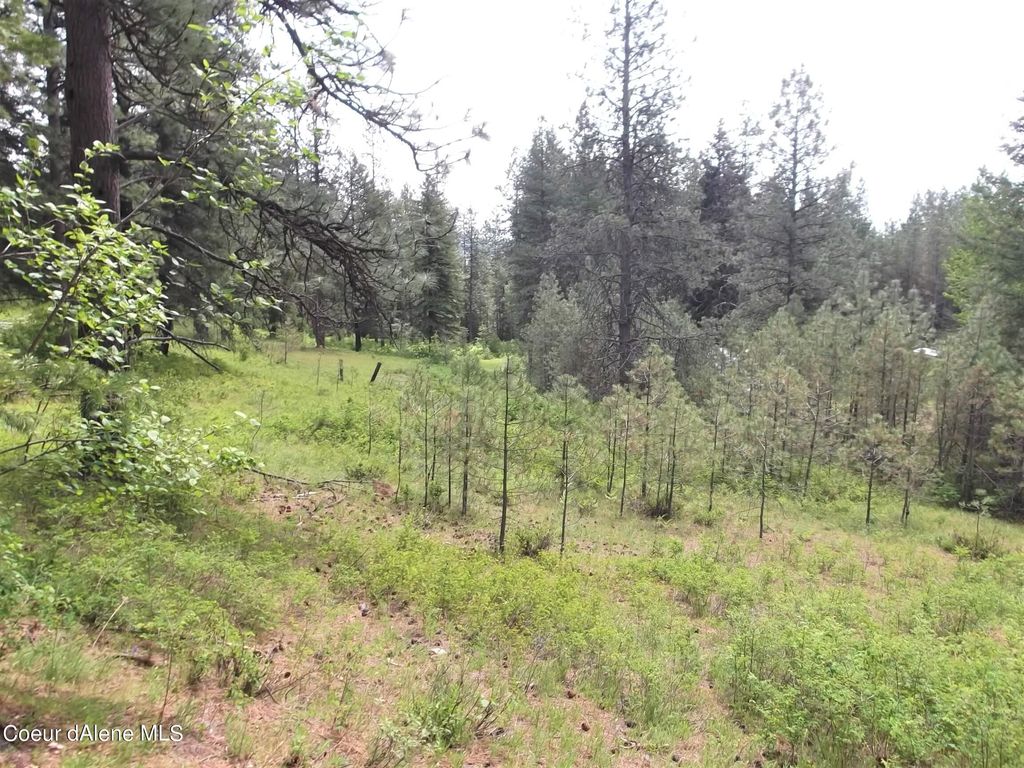 NNA DazyDuck Ct, Rathdrum, ID 83858