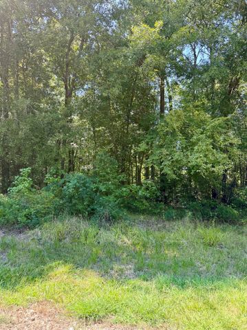 TBD Underwood, Livingston, TX 77351