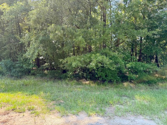 TBD Underwood, Livingston, TX 77351