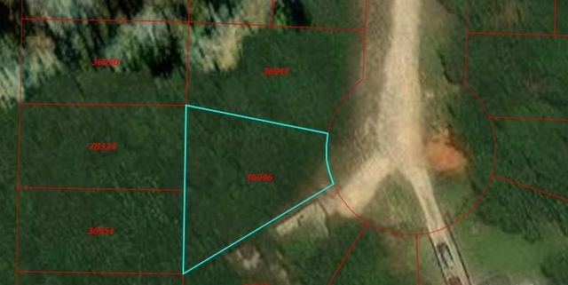 TBD Underwood, Livingston, TX 77351