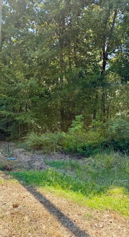 TBD Underwood, Livingston, TX 77351