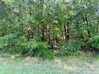 TBD Underwood, Livingston, TX 77351