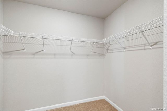 7461 Slate Place, Frederick, CO 80530