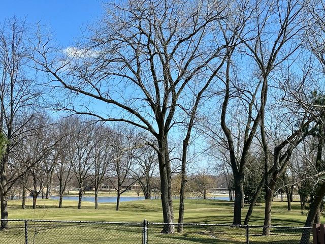 909 E Kenilworth Avenue 420, Palatine, IL 60074