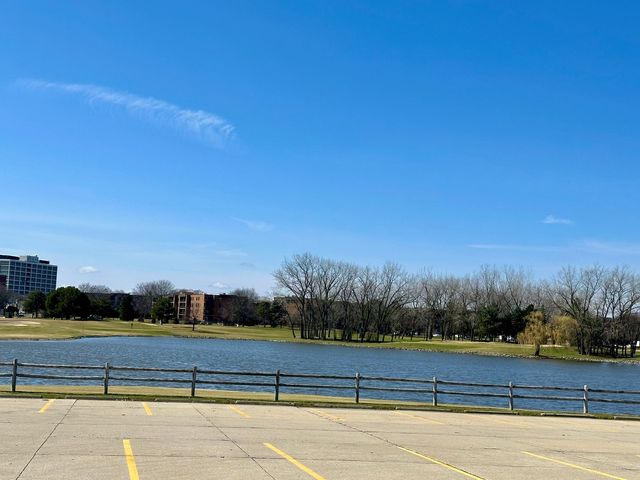 909 E Kenilworth Avenue 420, Palatine, IL 60074