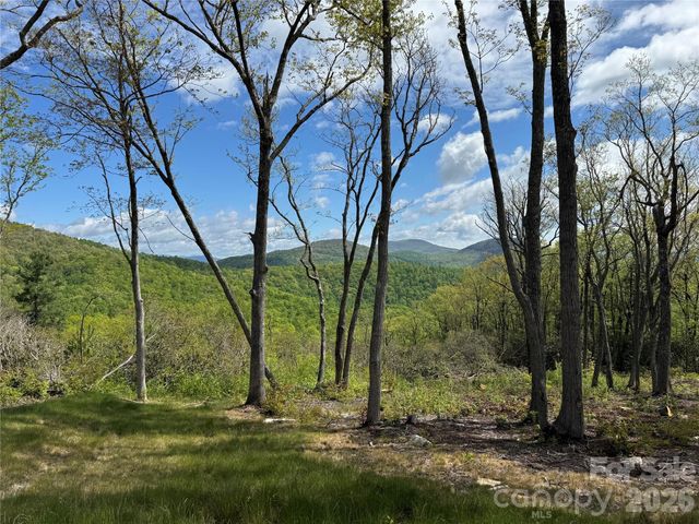 TBD E Garden Trail 45, Hendersonville, NC 28792