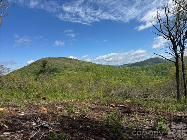 TBD E Garden Trail 45, Hendersonville, NC 28792