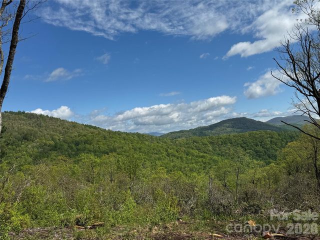 TBD E Garden Trail 45, Hendersonville, NC 28792
