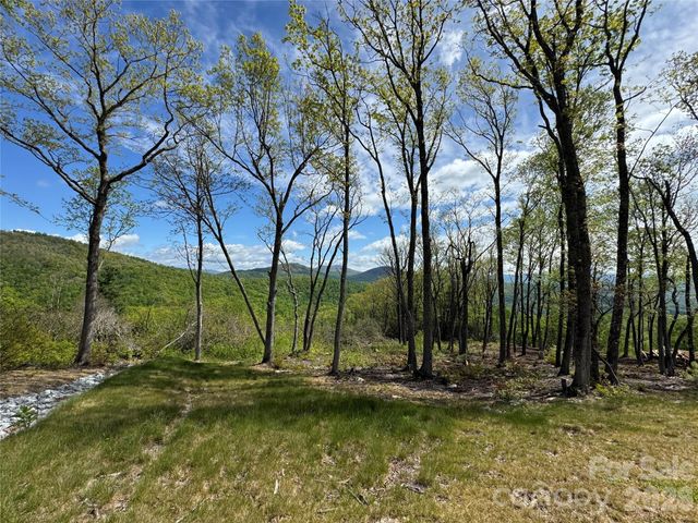TBD E Garden Trail 45, Hendersonville, NC 28792