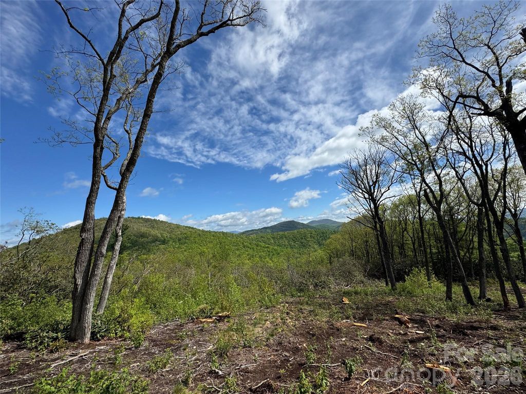 TBD E Garden Trail 45, Hendersonville, NC 28792