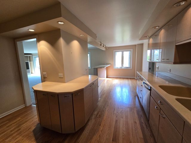 1005 Bonnie Brae Place 5F, River Forest, IL 60305