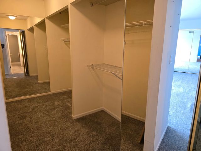 1005 Bonnie Brae Place 5F, River Forest, IL 60305