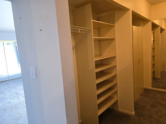 1005 Bonnie Brae Place 5F, River Forest, IL 60305