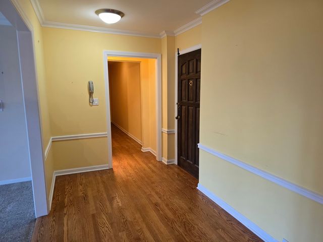 1005 Bonnie Brae Place 5F, River Forest, IL 60305