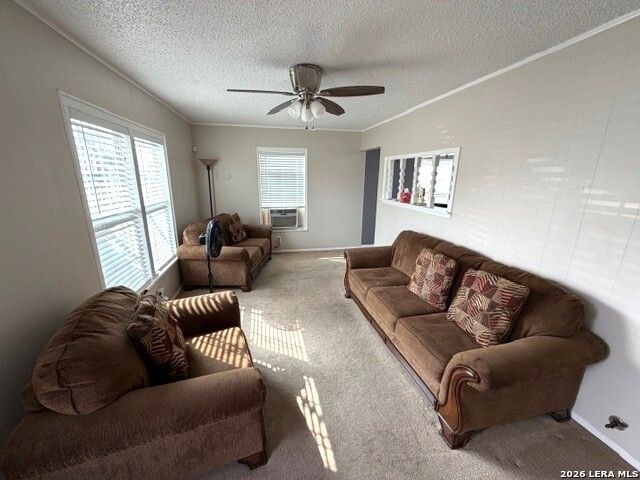 255 petaluma, San Antonio, TX 78221