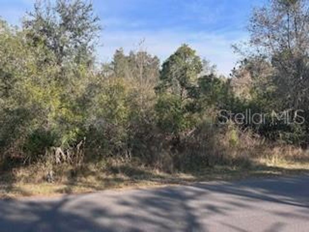 Image 1 of property listing at 0 LANTANA DRIVE S, Indian Lake Estates, FL 33855