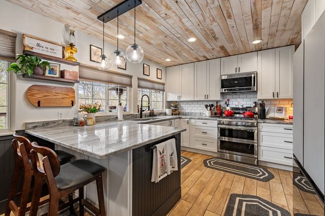 390 Sunnybrook Road, Blue Ridge, GA 30513