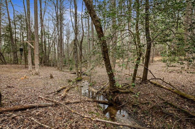 390 Sunnybrook Road, Blue Ridge, GA 30513