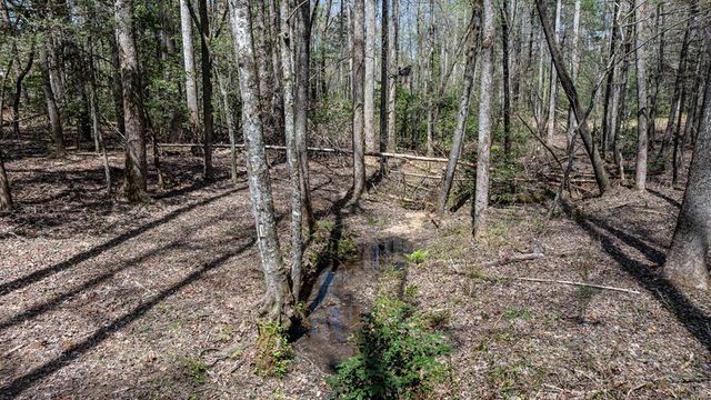 390 Sunnybrook Road, Blue Ridge, GA 30513