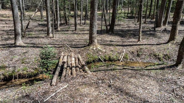 390 Sunnybrook Road, Blue Ridge, GA 30513