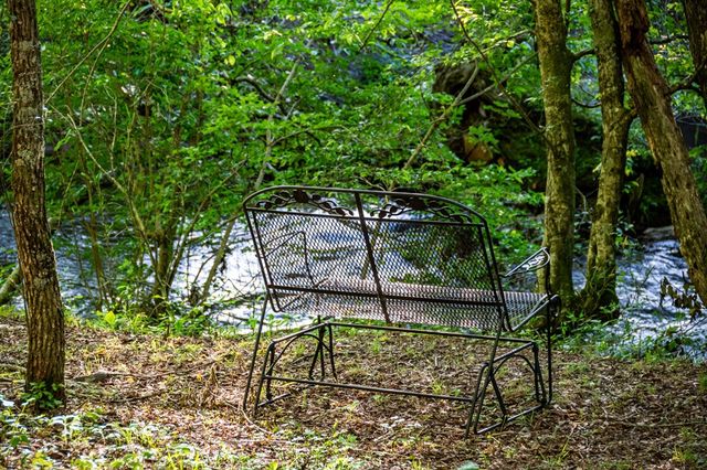 390 Sunnybrook Road, Blue Ridge, GA 30513