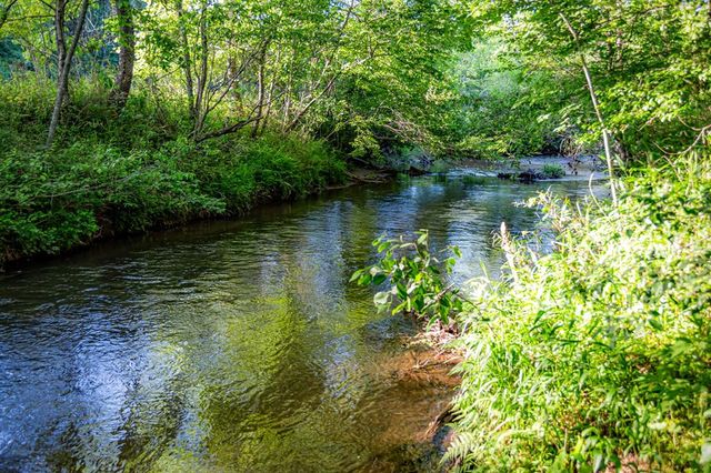 390 Sunnybrook Road, Blue Ridge, GA 30513